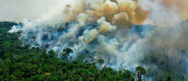 Une zone en feu de la reserve de foret tropicale amazonienne, au sud de Novo Progresso, dans l'Etat du Para, le 16 aout 2020. 
