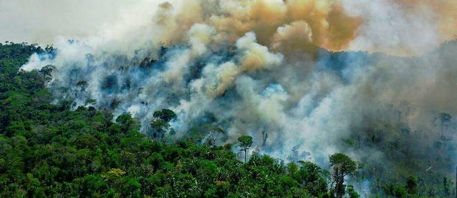 Une zone en feu de la réserve de forêt tropicale amazonienne, au sud de Novo Progresso, dans l'État du Para, le 16 août 2020. 
