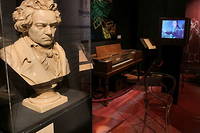 Beethoven avait fait part de sa volonte que sa maladie soit decrite apres sa mort et rendue publique (photo d'illustration).
