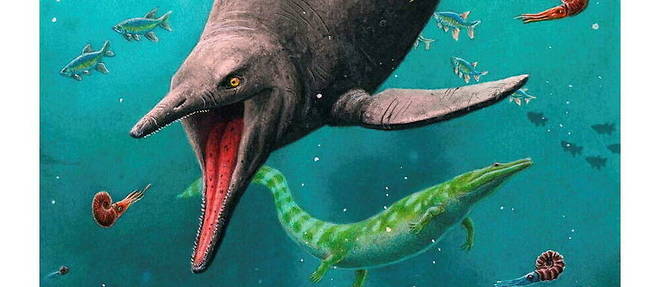 Reconstitution du premier ichtyosaure connu, vieux de 250 millions d'annees, decouvert au Spitzberg.
