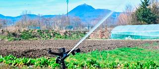 Le ministre de la Transition ecologique Christophe Bechu appelle les prefets a prendre des mesures face au deficit d'eau dans les sols (photo d'illustration).
