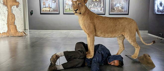 Une lionne se dresse sur le corps recroqueville d'un chasseur a terre. Avec des installations souvent derangeantes, le photographe de renommee mondiale, Roger Ballen, raconte dans une exposition a Johannesburg les ravages de l'homme sur la nature.
