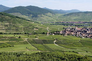 Du 23 avril au 30 juillet, Alsace Rock, ce sont 15 étapes dominicales dans le vignoble alsacien et une multitude d'animations pour découvrir ou redécouvrir sa route des vins  et la diversité des vins du terroir. 
