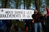 Des rassemblements en France contre la dissolution de &quot;Soul&egrave;vements de la Terre&quot;