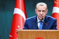 &Eacute;lections en Turquie : Erdogan, le Poutine du Bosphore