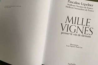 << Mille Vignes >>, de Pascaline Lepeltier, constitue une    synthese ,  ni trop simple ni trop   erudite,   de l'ensemble des nombreux domaines qui concernent l'univers du vin.
