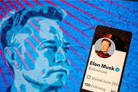 Elon Musk a annonce lundi 8 mai la suppression des comptes Twitter inactifs depuis plusieurs annees.
