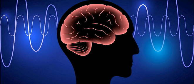 Une etude scientifique a decode des images d'activite cerebrale pour en extraire des mots.

