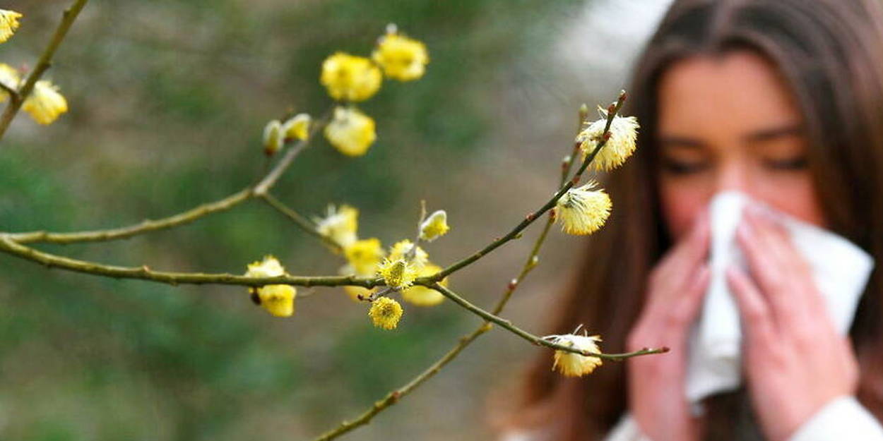 Allergies au pollen : 44 départements placés en alerte rouge