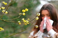 44 des 96 départements métropolitains ont été placés en alerte rouge aux pollens de graminées. (image d'illustration)

