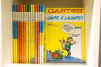 Gaston Lagaffe pourrait revivre si la fille du dessinateur Franquin donne son accord.
