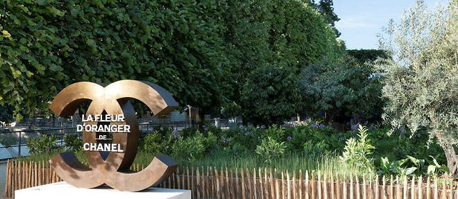 A l'occasion de l'evenement Jardins Jardin, aux Tuileries, a Paris, Chanel presentera sa filiere Fleur d'oranger via un parcours olfactif et botanique au coeur d'un jardin de 200 m2.
