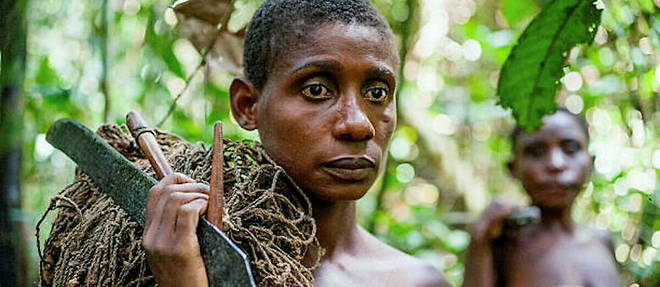 Pour la preservation des gorilles des montagnes, les Pygmees Batwa ont ete sacrifies par le gouvernement ougandais qui les a chasses de leur foret.
Pour la preservation des gorilles des montagnes, les Pygmees Batwa ont ete sacrifies par le gouvernement ougandais qui les a chasses de leur foret.