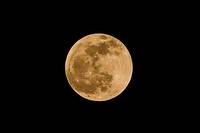 << Lune des fraises >>, << lune des roses >> ou << lune de miel >>... Le 4 juin 2023, a 5 h 43 (heure de Paris), une << super lune >> illuminera le ciel. (Photo d&#039;illustration)
