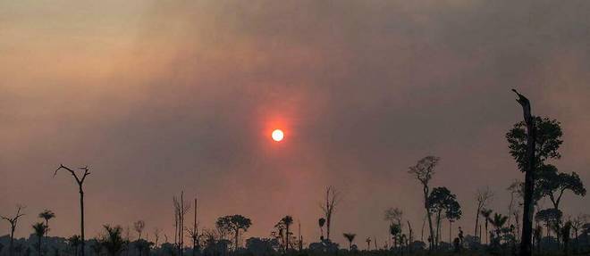 Un rideau de fumée dû à un incendie dans une zone de la jungle amazonienne, dans la région d'Alvorada da Amazonia, à Novo Progresso (État de Para), le 13 août 2020. Les émissions de gaz à effet de serre liées à la déforestation ont été légèrement revues à la baisse en 2021.
