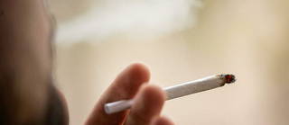 Plus de 900 000 Français consomment quotidiennement du cannabis.
