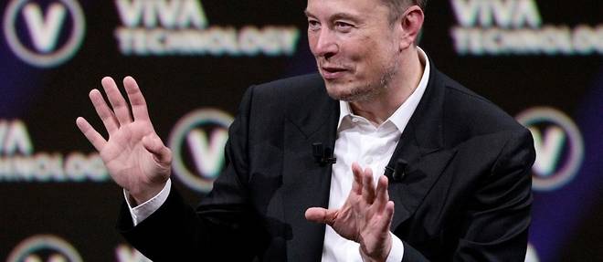Un Elon Musk décomplexé fait son show à Paris, sans annoncer d'usine Tesla  en France