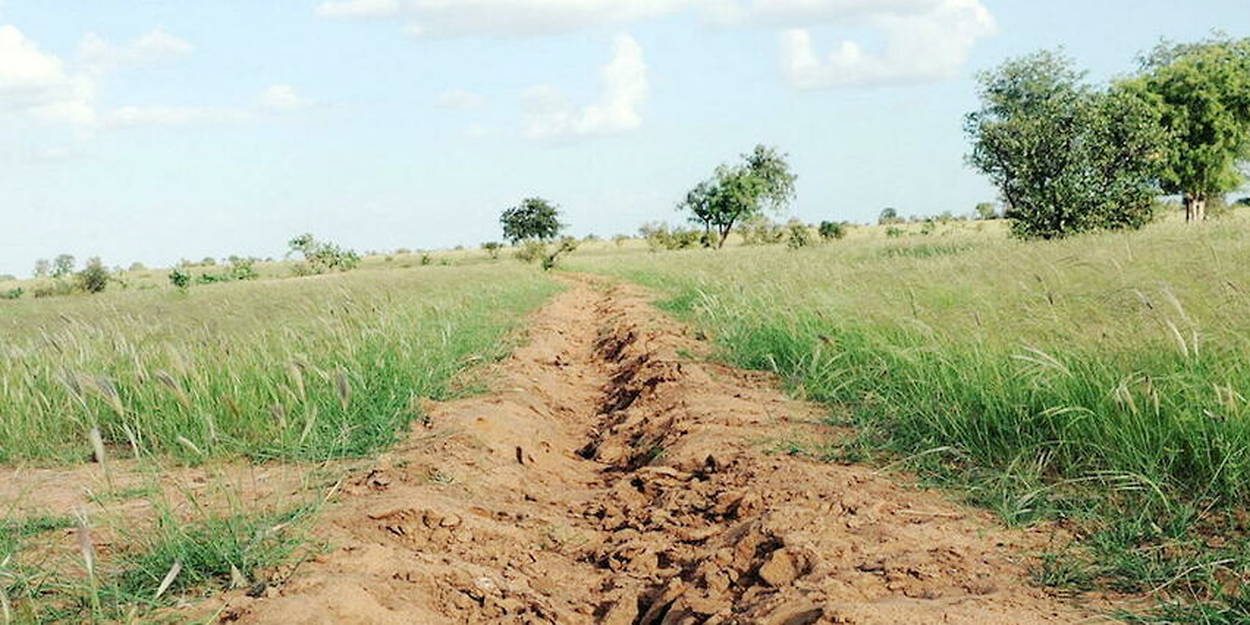 The Great Green Wall, land of hope and opportunity TIme News