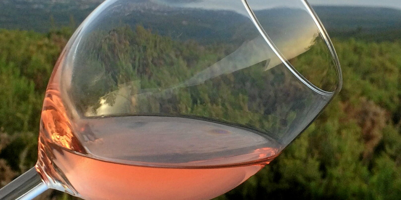 8 vins rosés à moins de 10 euros pour l'été : Femme Actuelle Le MAG