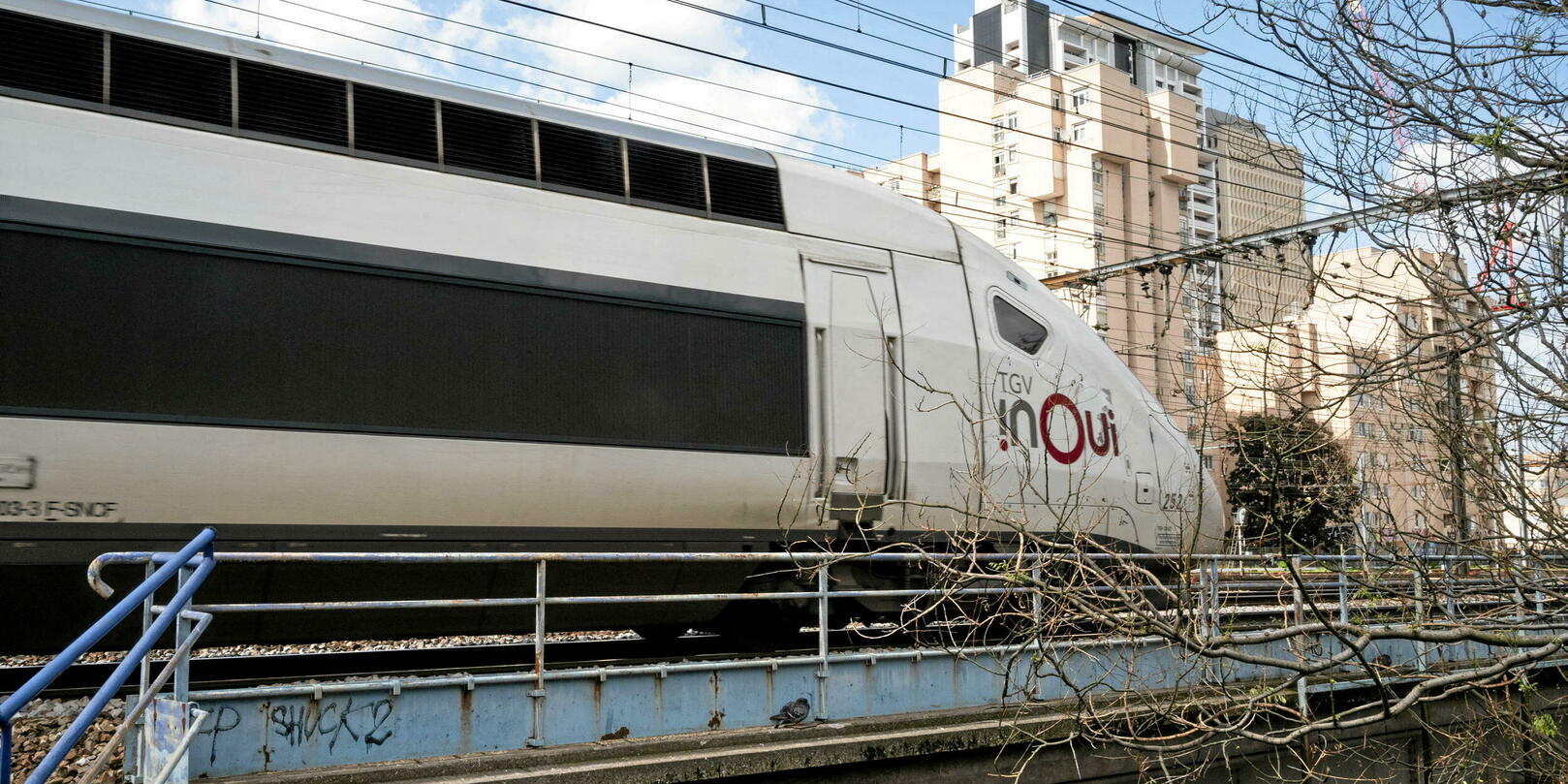 Arrest Made After Gunshot on Annecy-Paris Train: Man Overpowered by Plainclothes Policeman