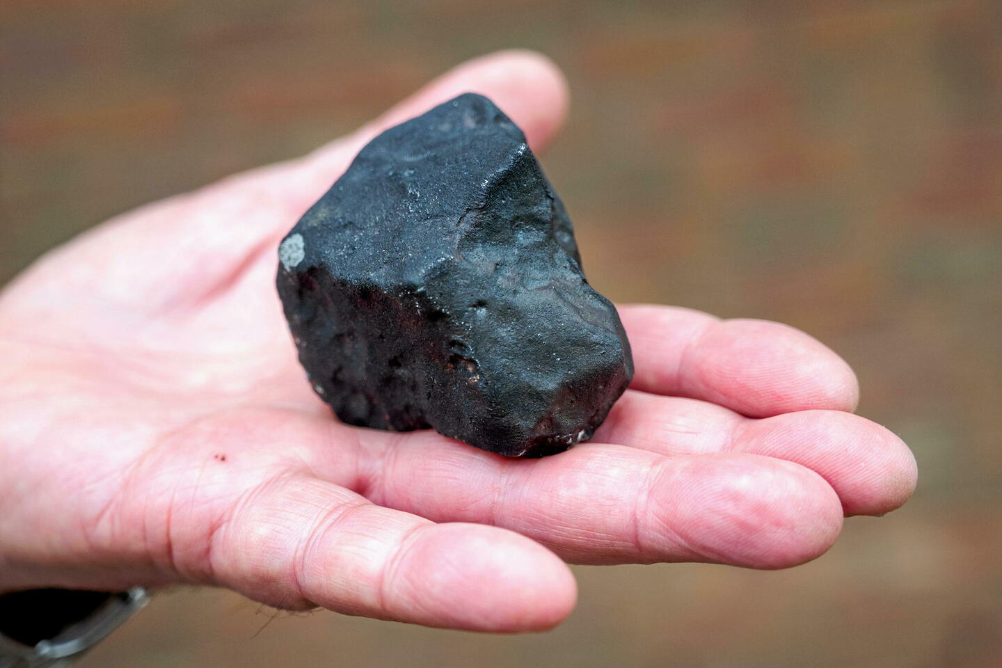 Photo of un alsaciano golpeado por un meteorito