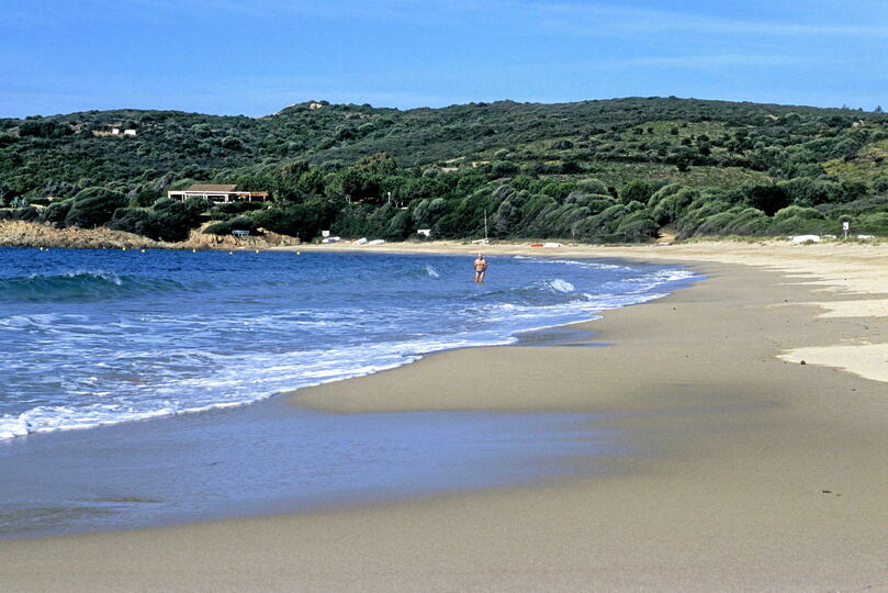 Corse : cinq plages de rêve pour un été les pieds dans l'eau