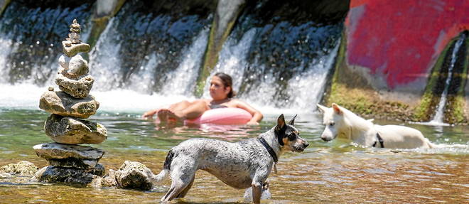 Of dogs and men in Austin, Texas, on June 27, 2023.
