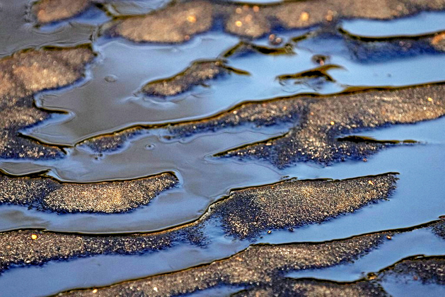 ONG denuncian derrame de petróleo de 400 m² en el Golfo de México