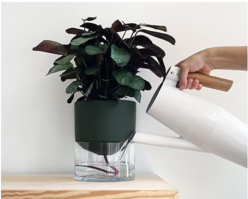 Pot de fleurs à arrosage automatique pour plantes de fenêtre et fleurs