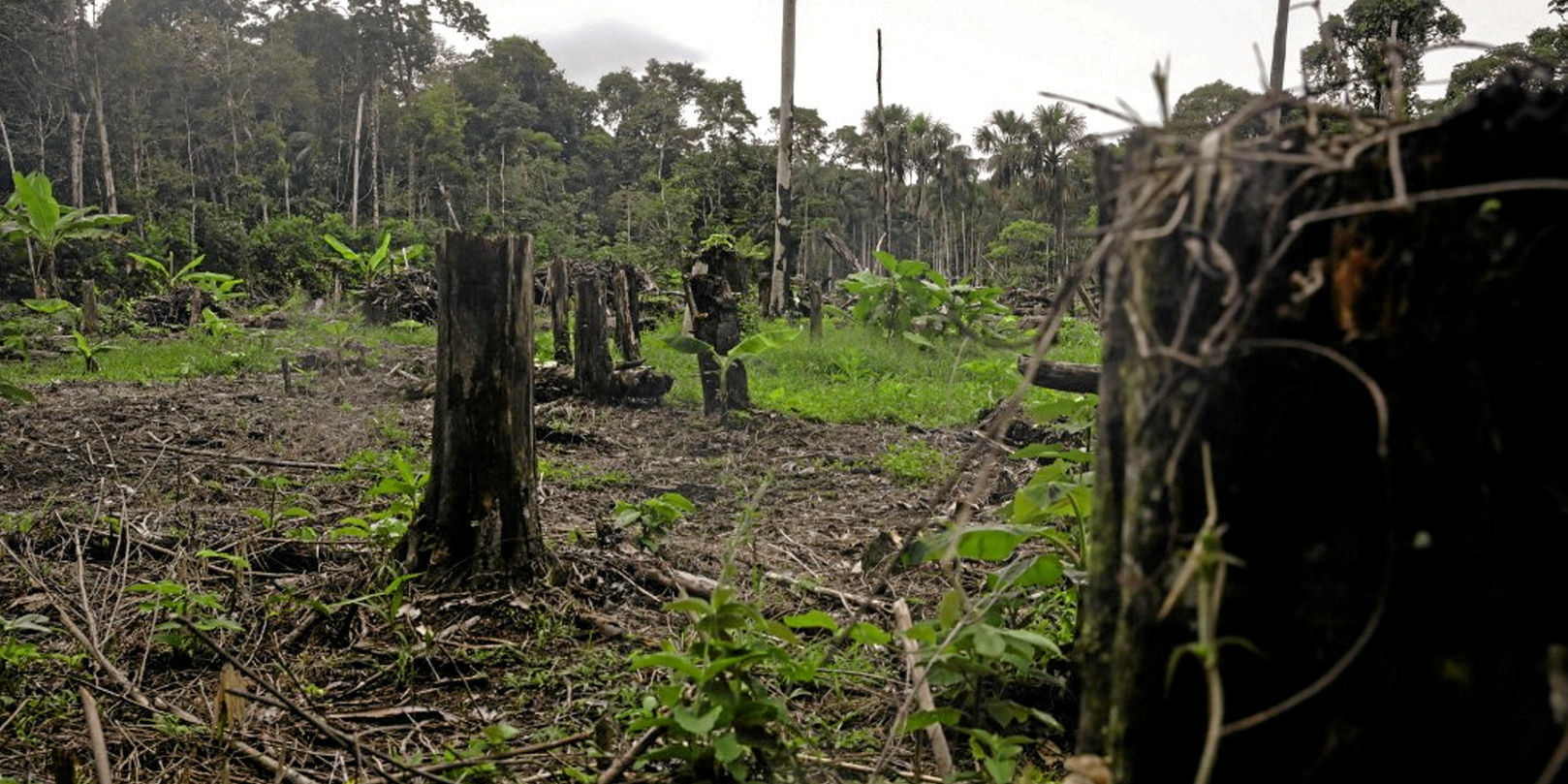 Sommet De Lamazonie Contre La D Forestation Une Alliance Mais Pas D