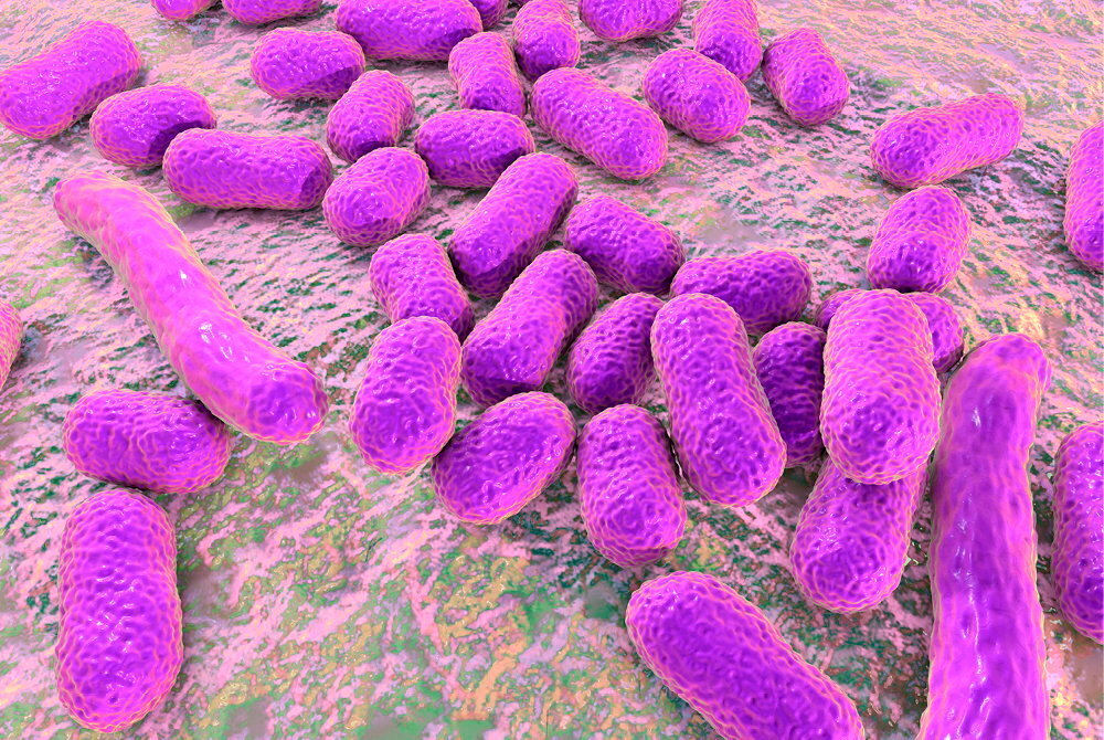 Bacteria to detect colon cancer