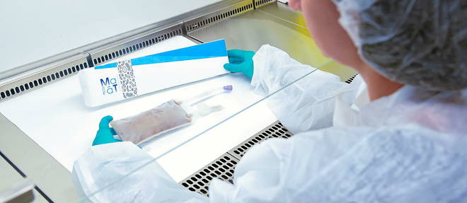 MaaT013 est une poche de selles provenant de plusieurs donneurs. Elle contient environ 500 especes de bacteries du microbiote intestinal.
MaaT013 est une poche de selles provenant de plusieurs donneurs. Elle contient environ 500 especes de bacteries du microbiote intestinal.
