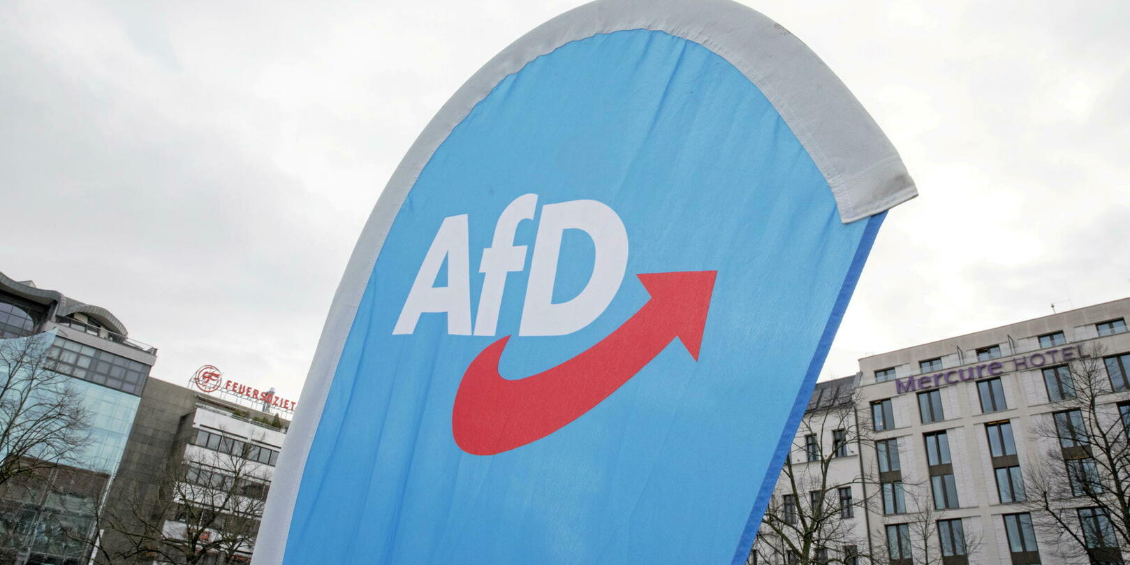 The Age of Wolves: Germany’s Struggle with Memory and the Rise of Neo-Nazi AfD Party