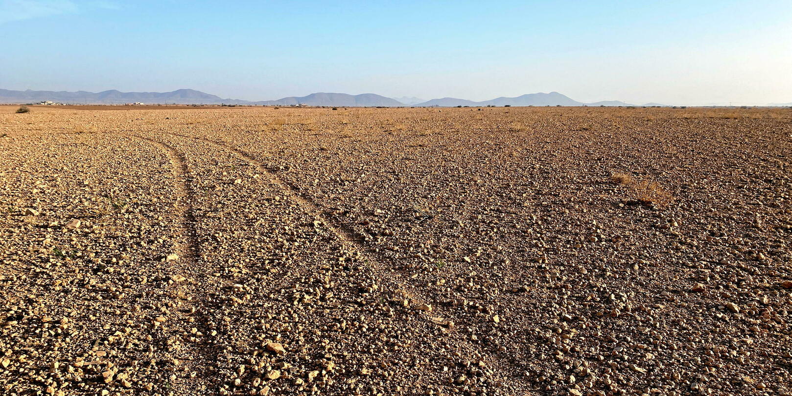 Météo : le Maroc bat un record de chaleur avec 36,6 °C en plein mois de  février