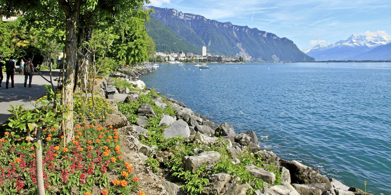 Il Lago di Ginevra si sta riscaldando da 4 a 5 volte più velocemente degli oceani