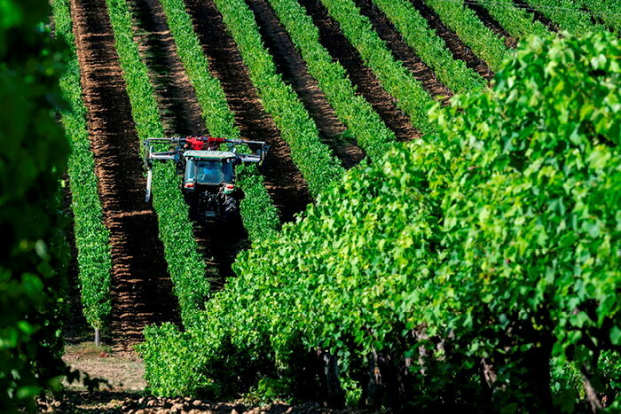 <FIGCAPTION>Rognage des vignes à Gondrin, dans le Gers.</FIGCAPTION> © Marc CHAUMEIL / Divergence”><figcaption class=