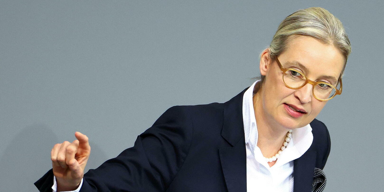 Faut-il interdire le parti d’extrême droite allemand AfD ?