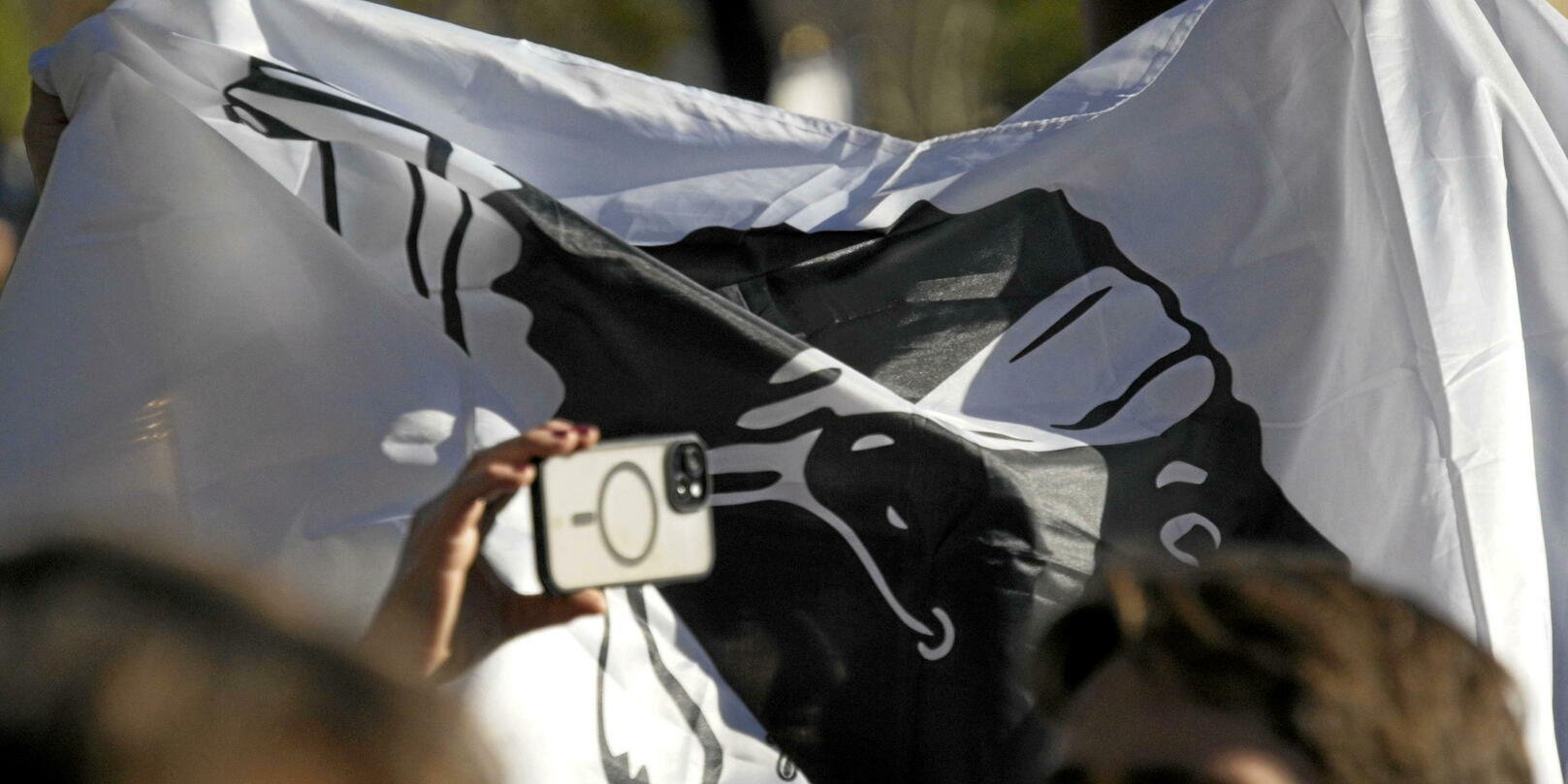 En Corse, les zones d’ombre autour de l’assassinat du syndicaliste agricole Pierre Alessandri