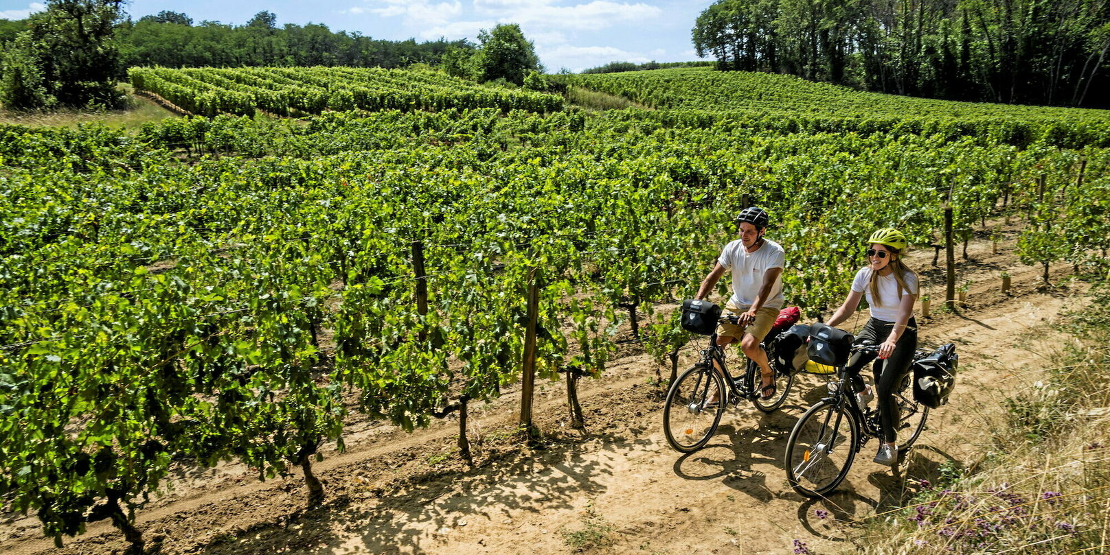 Loire 2024 : notre sélection d’un millésime sauvé des eaux !