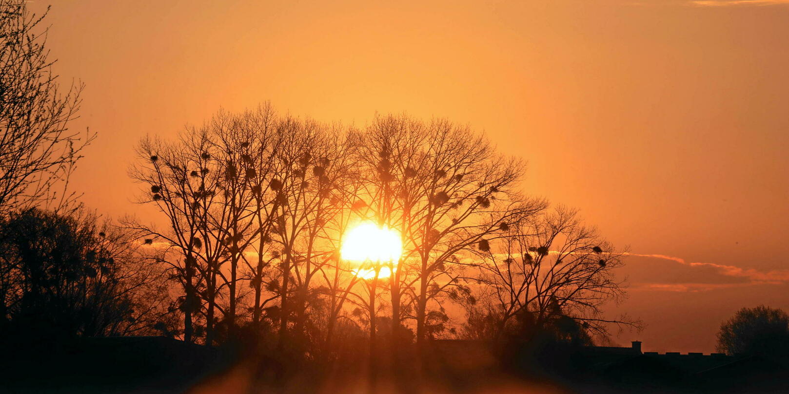 Géo-ingénierie : Le Royaume-Uni explore la possibilité de bloquer le soleil pour lutter contre le réchauffement climatique