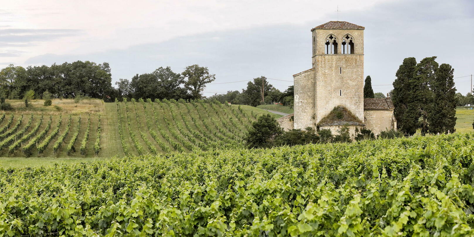 Cahors, les nouveaux habits du malbec