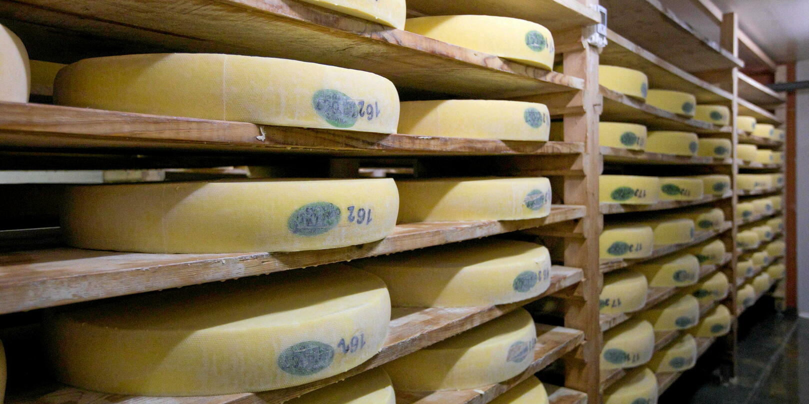 Comté : et maintenant, les écolos s’en prennent au fromage !