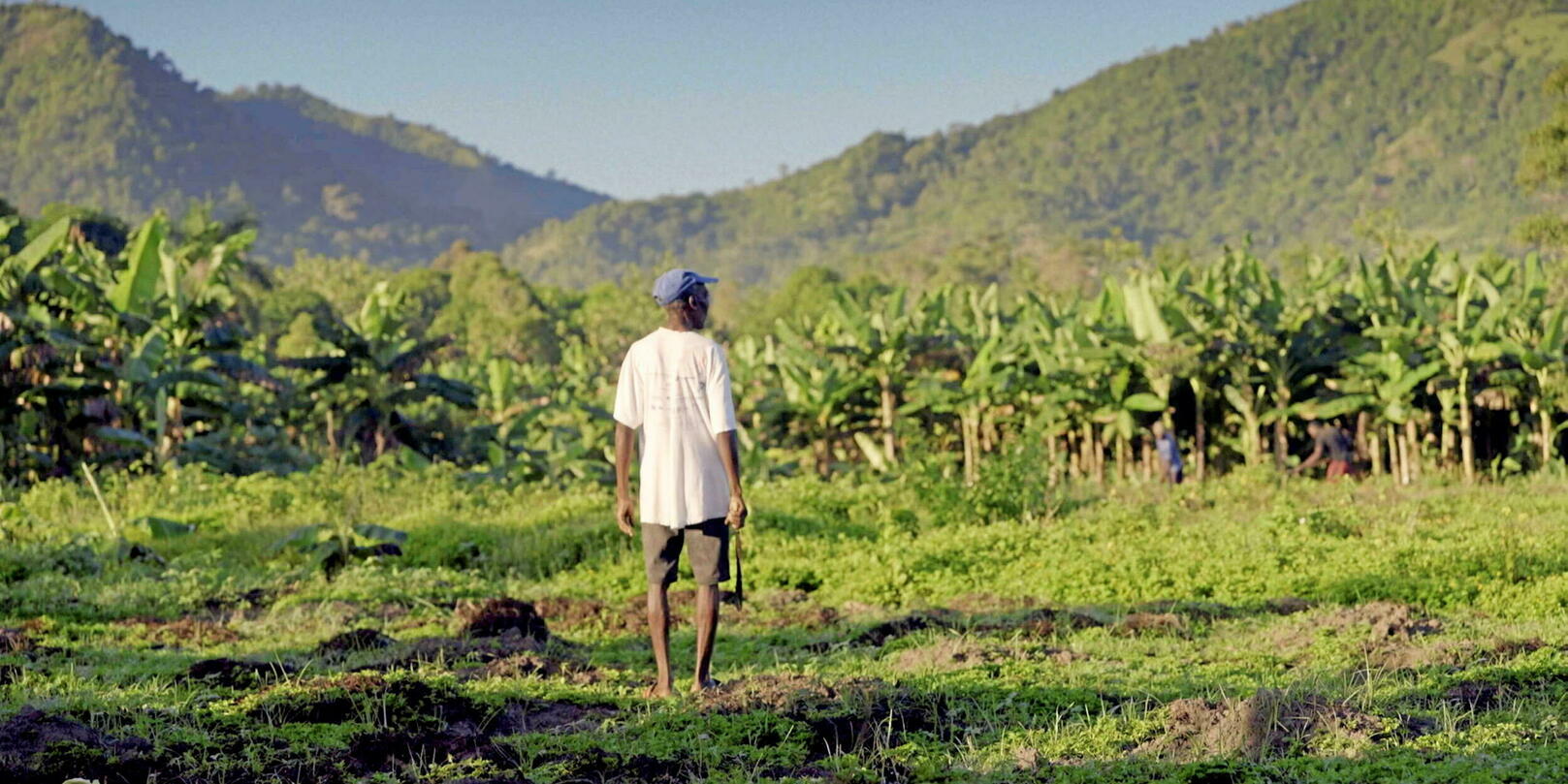 « La rançon de l’indépendance », ce documentaire passionnant sur la dette d’Haïti à ne pas manquer sur France 2