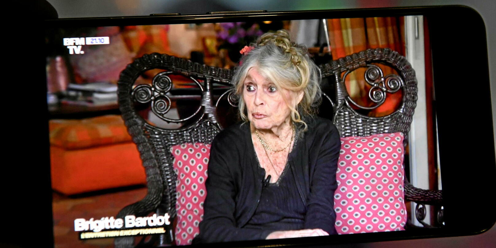 Brigitte Bardot s’en prend au Festival de Cannes, Thierry Frémaux la recadre