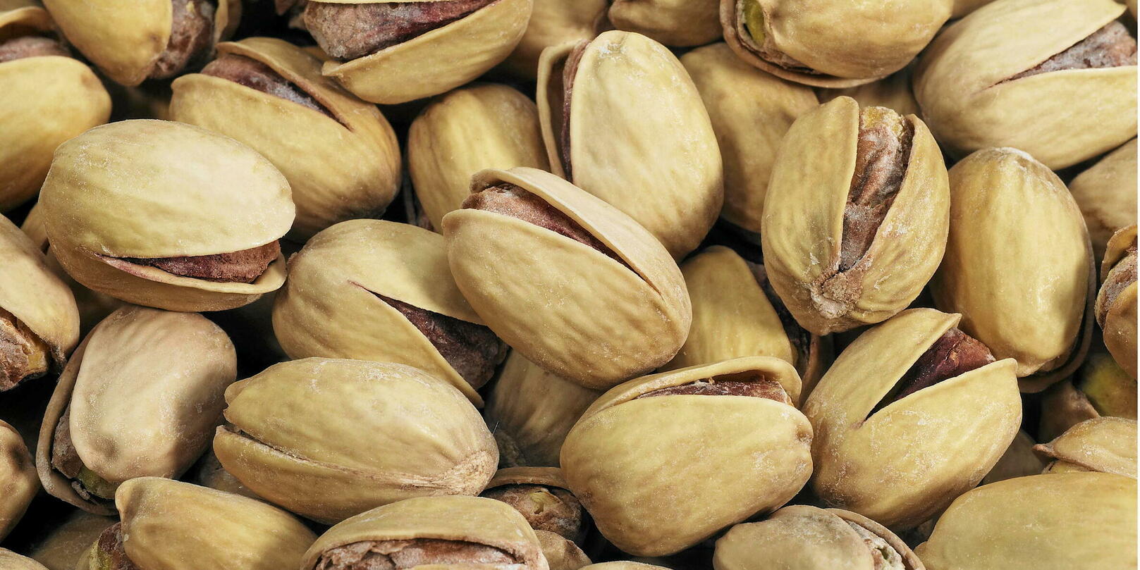 La pistache : bonne pour le cœur et l’érection ?