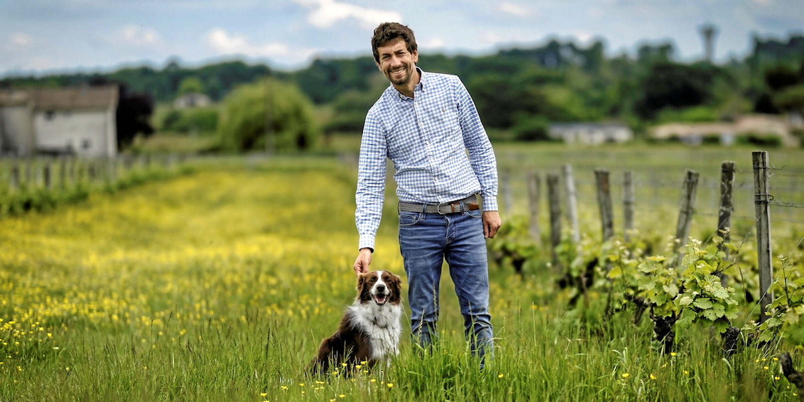 « L’hiver, on fait pâturer les brebis dans les vignes »