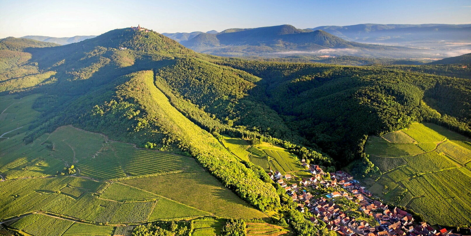 Vins d’Alsace : notre sélection de l’été 2025
