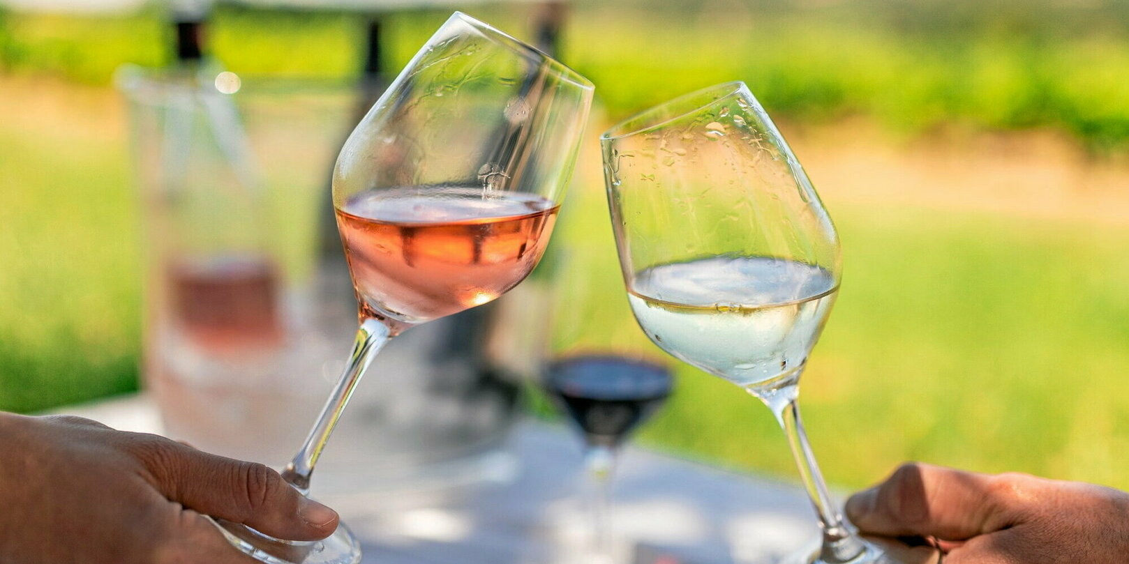Vins de l’été 2025 : notre sélection de la Vallée du Rhône, des costières-de-nîmes à grignan-les-adhémar