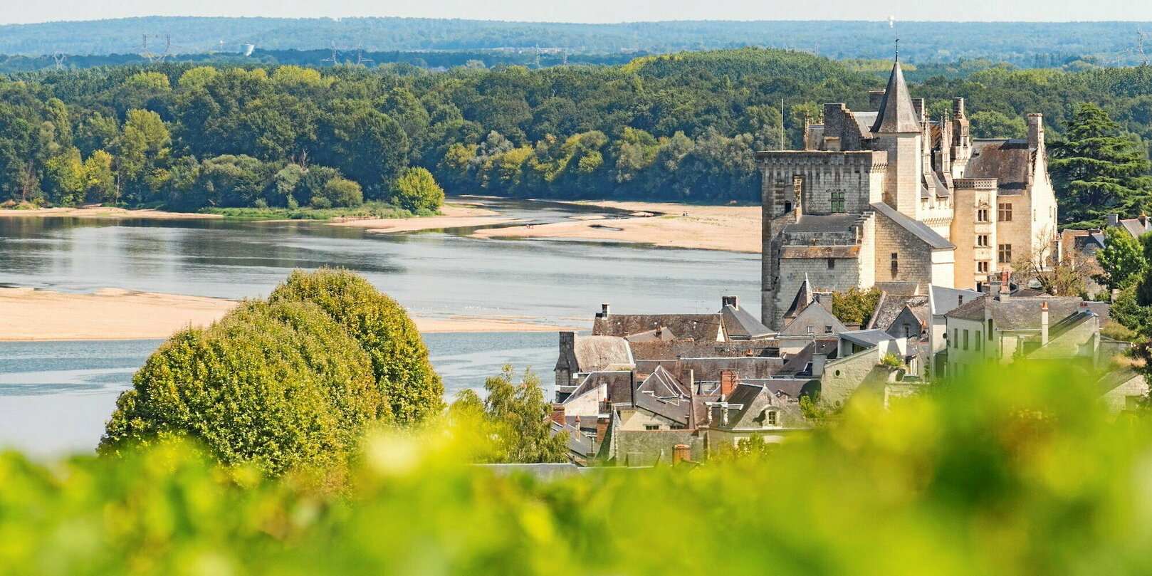 Vins rosés et rouges de Loire : notre sélection de l’été 2025