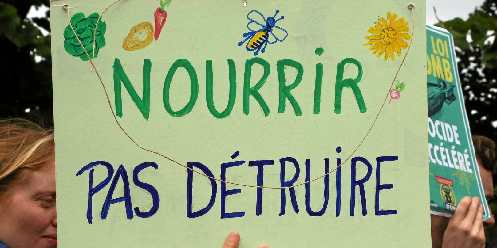 Loi agricole Duplomb : pourquoi le texte controversé pourrait ne pas être adopté ?